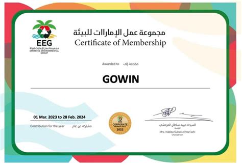 gowin super 6 rules